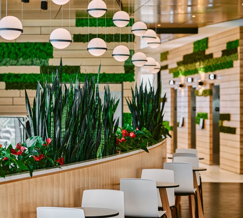 LTR Industries project accent wall